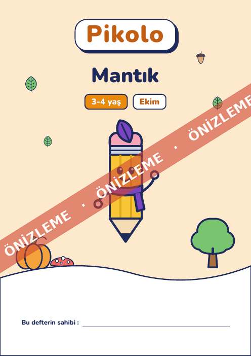 Ayın defteri Mantık, 3-4 yaş
