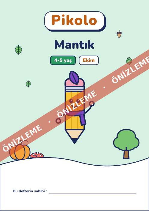 Ayın defteri Mantık, 4-5 yaş